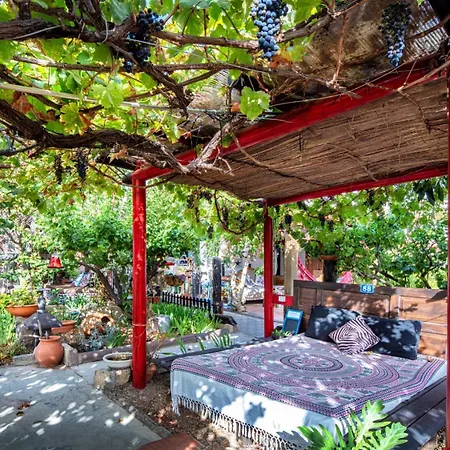 Εξοχικό σπίτι Casas Alberto Teleworking (adults Only) Σαν Μιγκέλ ντε Αμπόνα