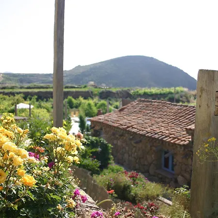 Casas Alberto Teleworking (adults Only) San Miguel de Abona