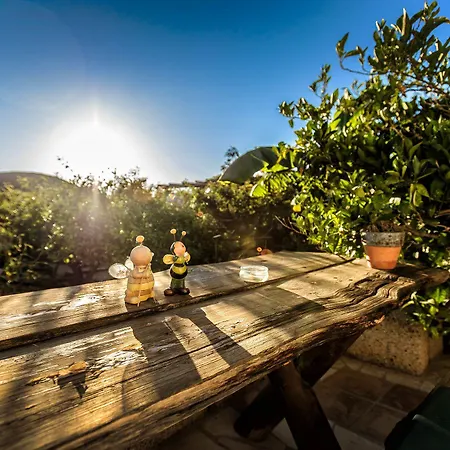 Casas Alberto Teleworking (adults Only) *