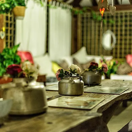 Casas Alberto Teleworking (adults Only) *