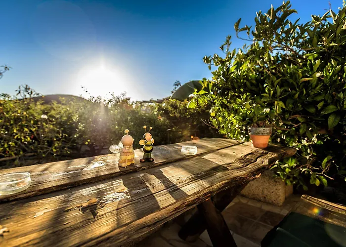 Casas Alberto Teleworking (adults Only) *