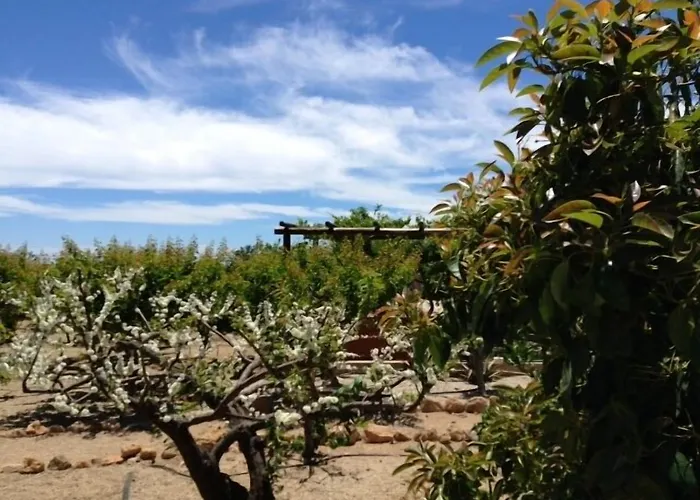 Casas Alberto Teleworking (adults Only) Country house San Miguel de Abona