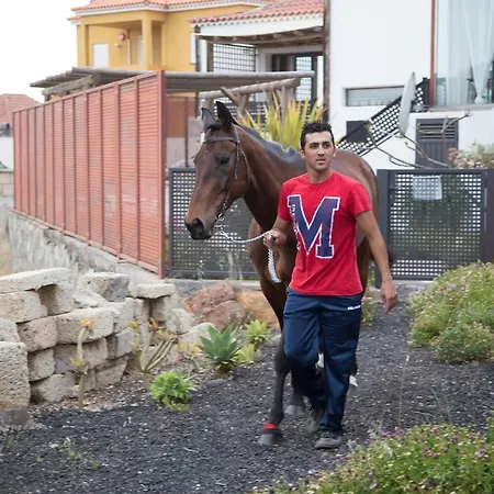Casas Alberto Teleworking Solo Adultos Casa rural