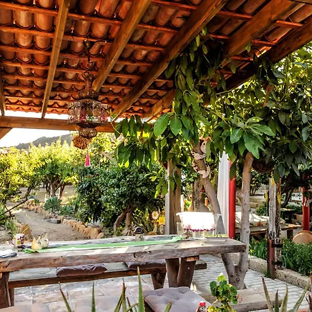 Casas Alberto Teleworking (adults Only) 컨트리하우스 산미겔데아보나