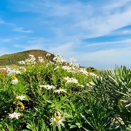 Casas Alberto Teleworking (adults Only) Country house