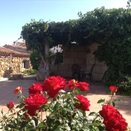 Casa de Campo Casas Alberto Teleworking (adults Only) San Miguel de Abona