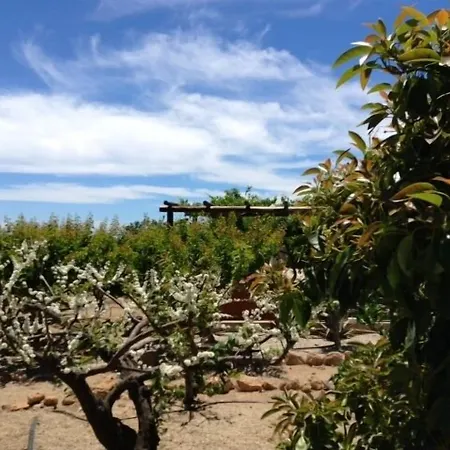 Casas Alberto Teleworking (adults Only) Casa de Campo San Miguel de Abona